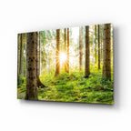 Glass Wall Art