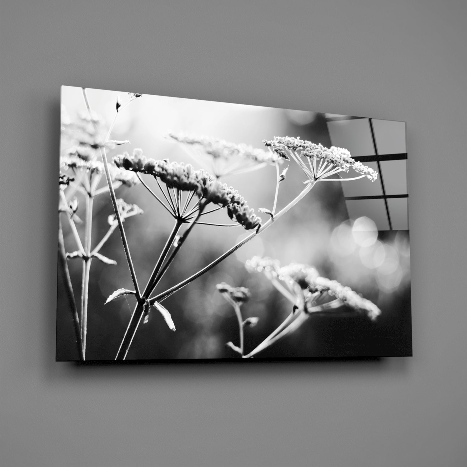 Glass Wall Art