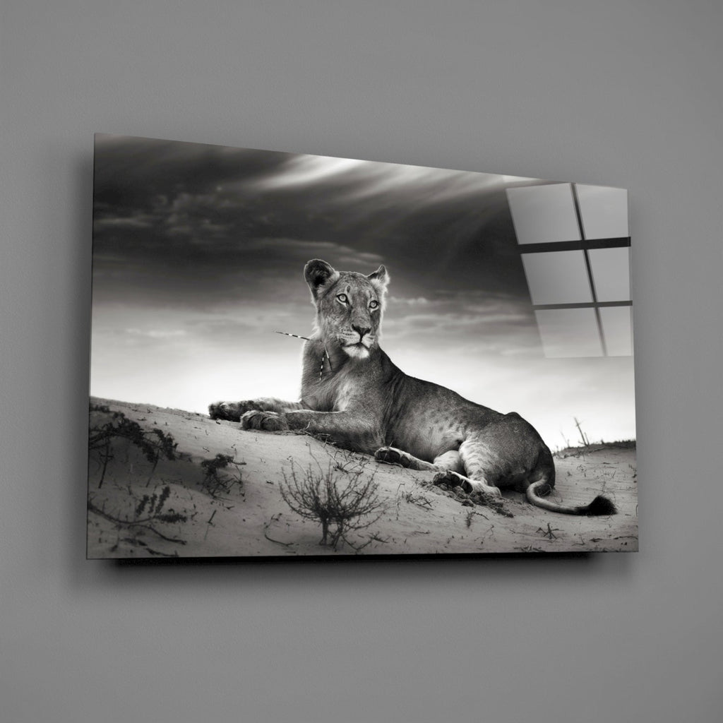 Glass Wall Art