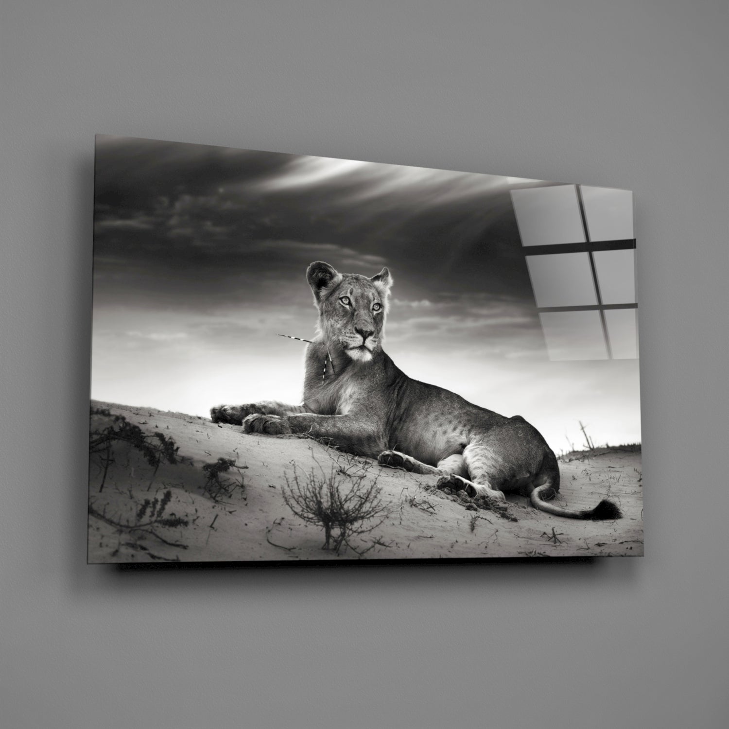 Glass Wall Art