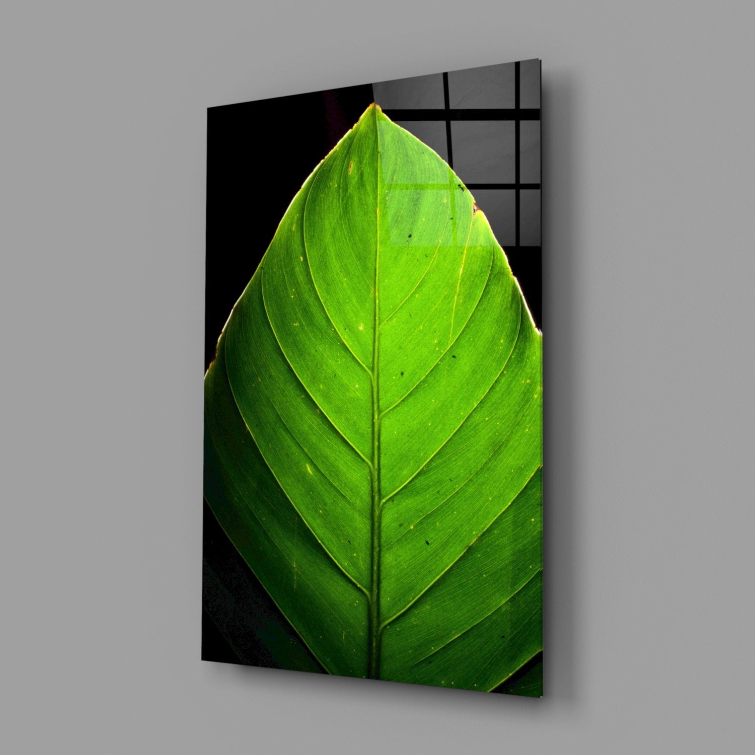 Glass Wall Art