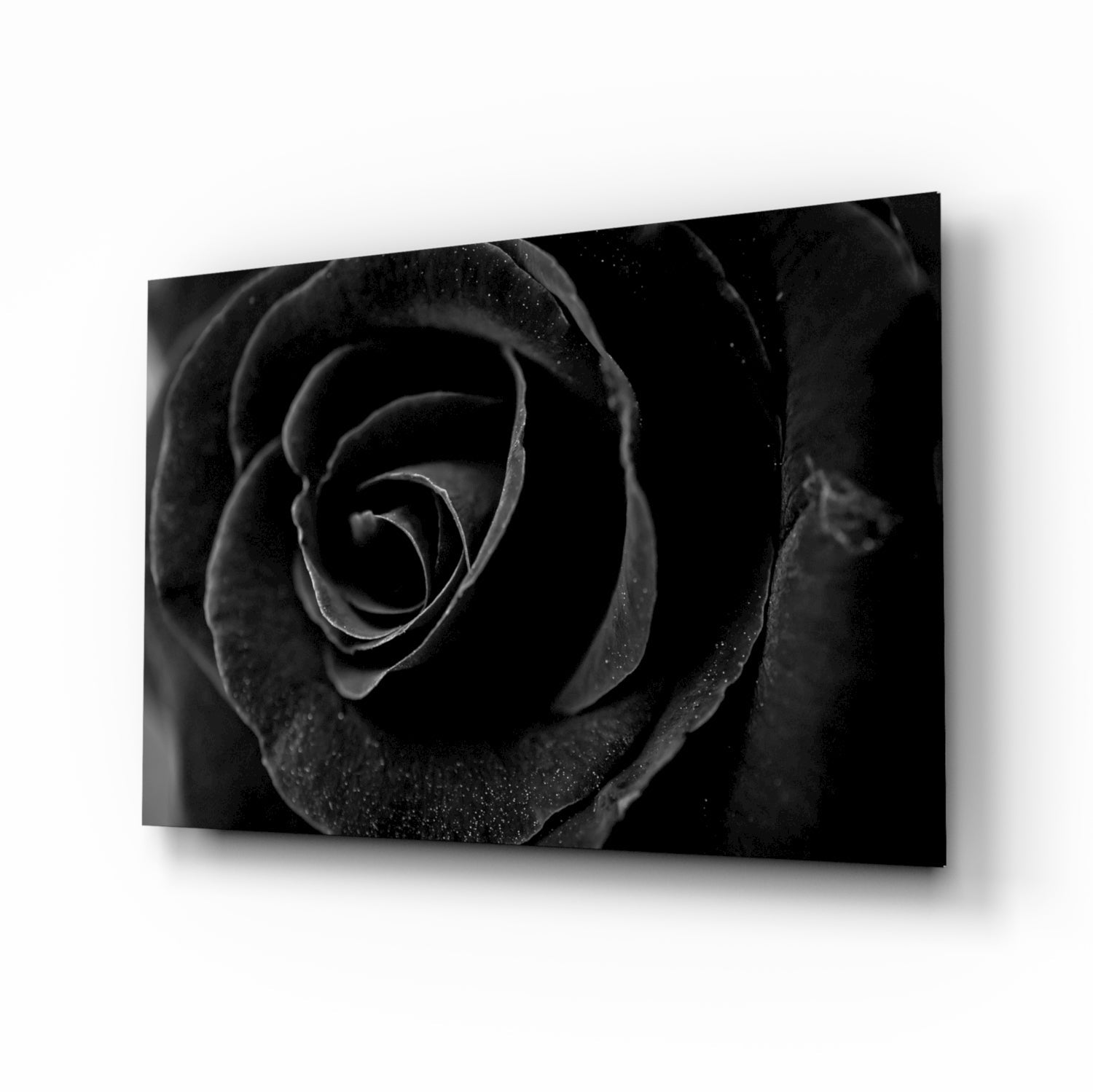 Glass Wall Art
