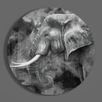 Elephant Glass Wall Art
