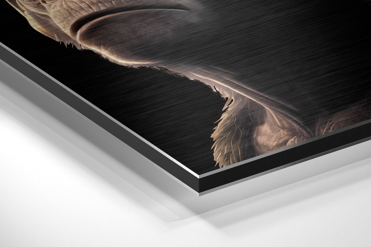 Brushed Aluminium Dibond Wall Art