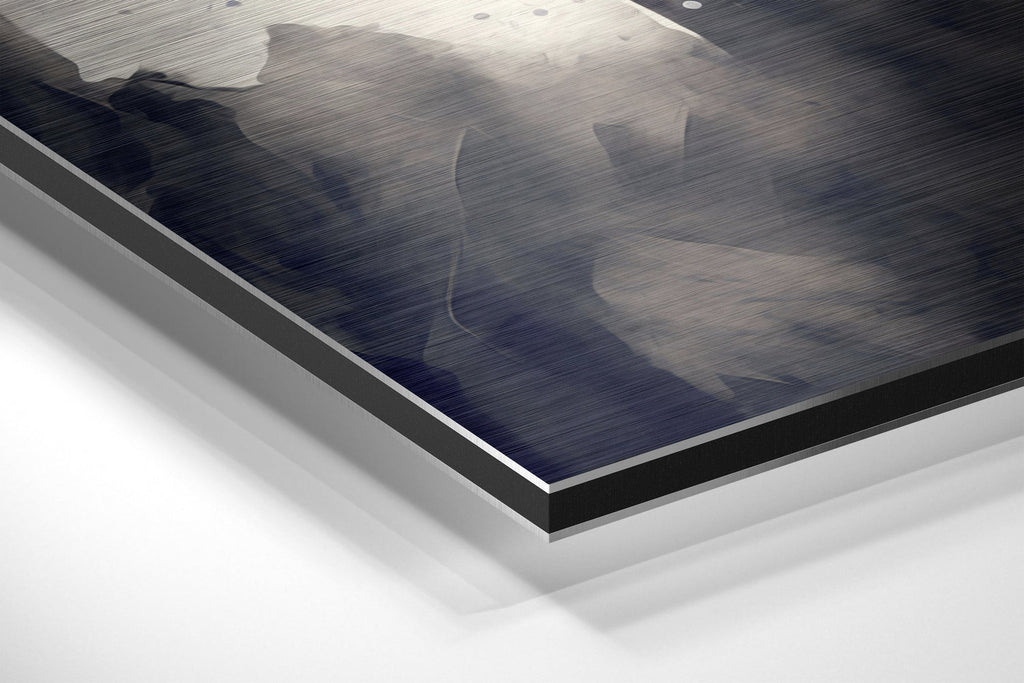 Brushed Aluminium Dibond Wall Art