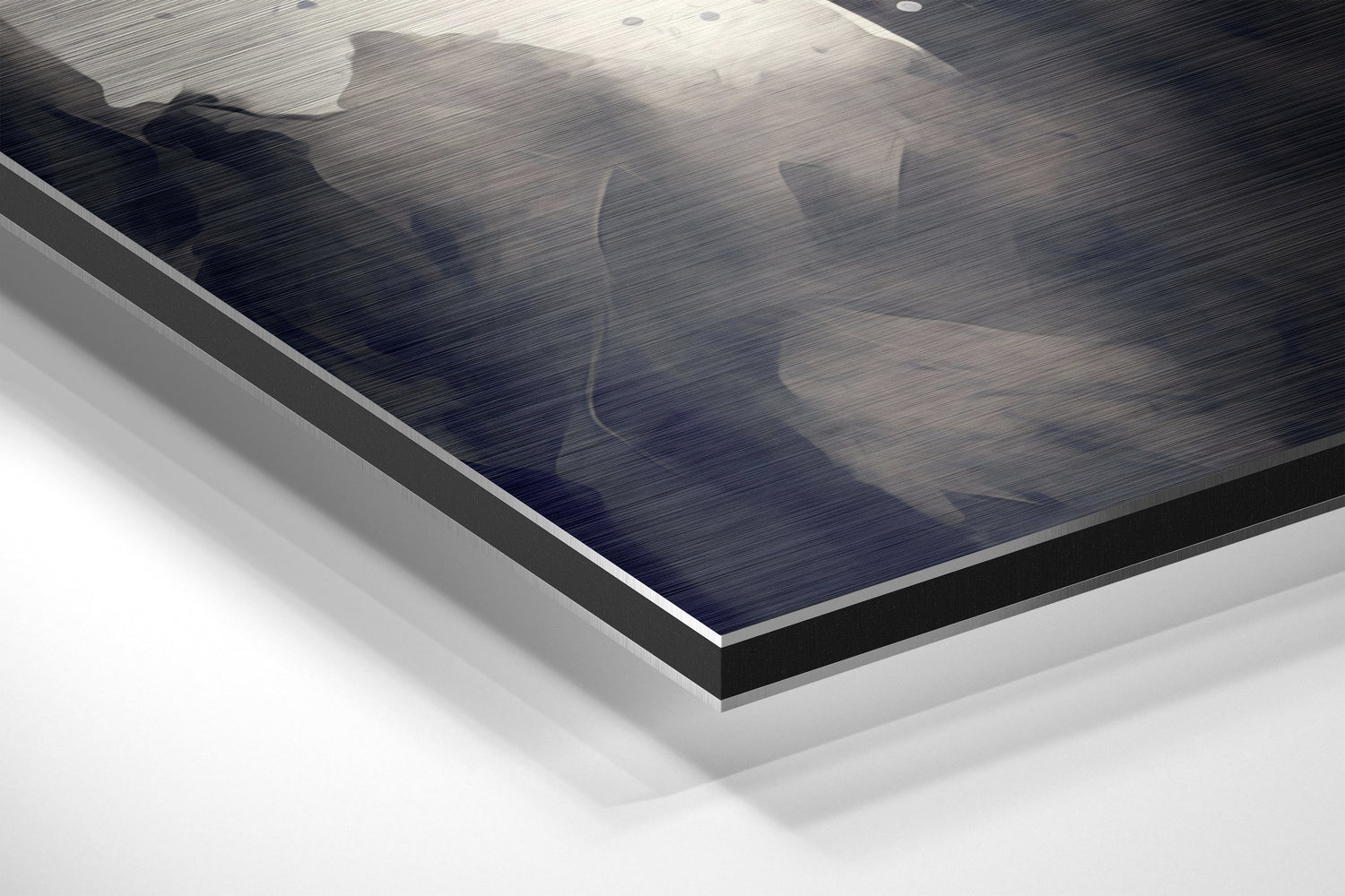 Brushed Aluminium Dibond Wall Art