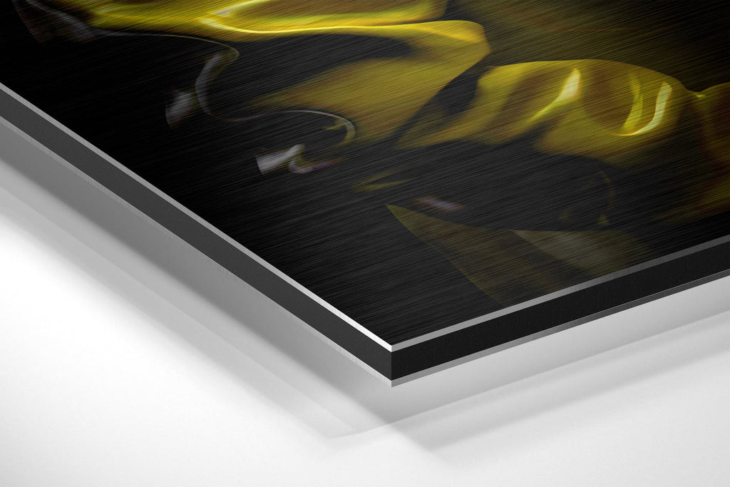 Brushed Aluminium Dibond Wall Art