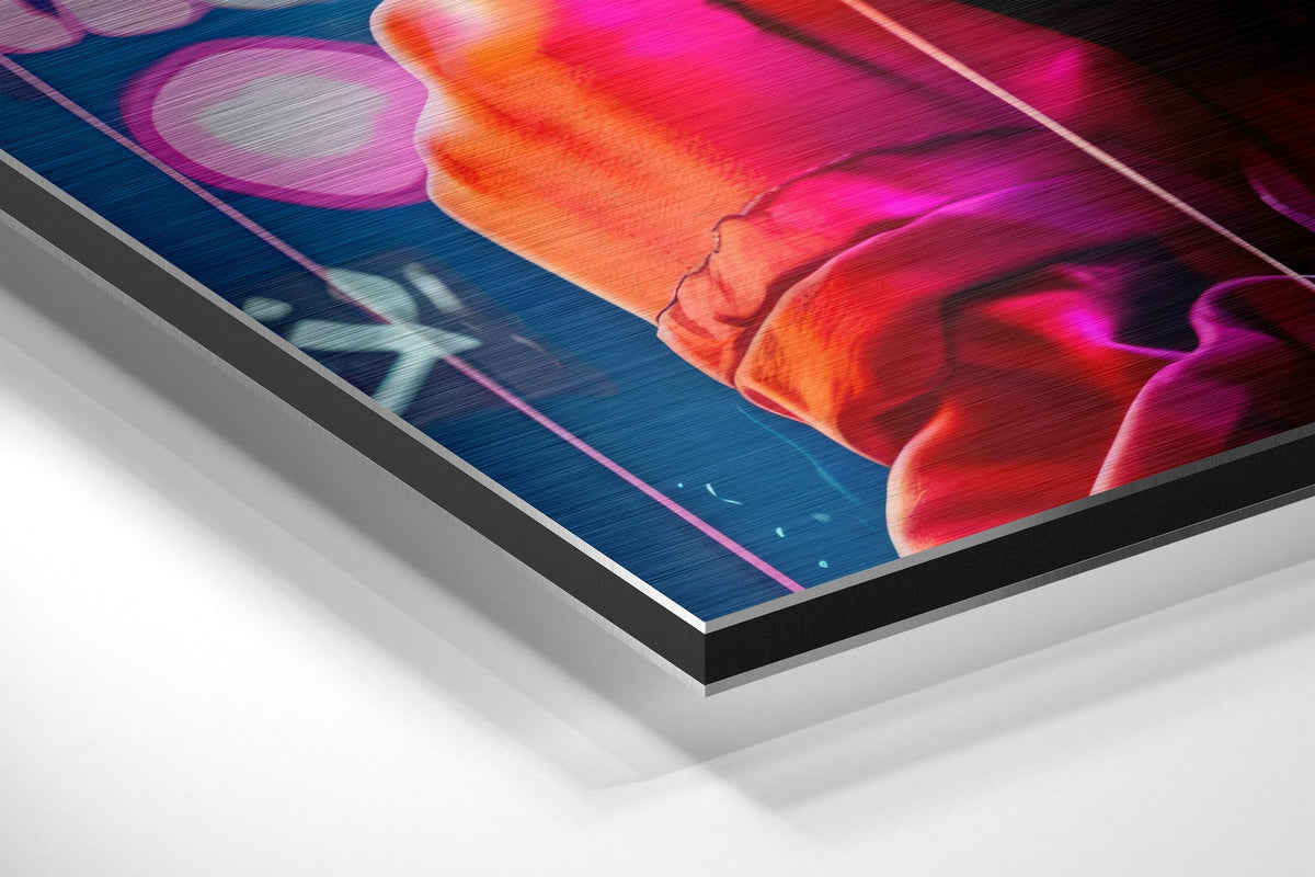 Brushed Aluminium Dibond Wall Art