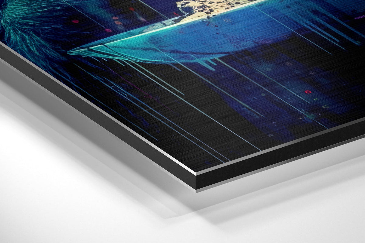Brushed Aluminium Dibond Wall Art