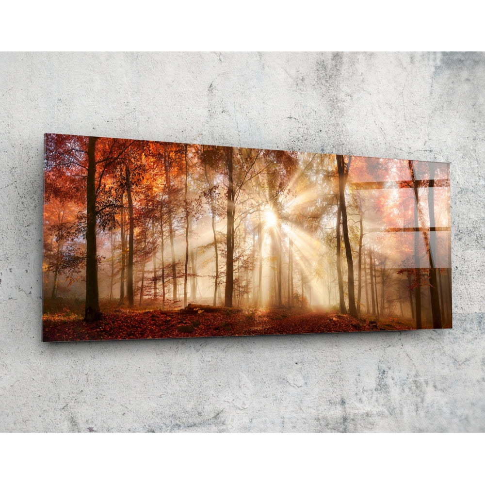 Forest Glass Wall Art (92x36 cm)