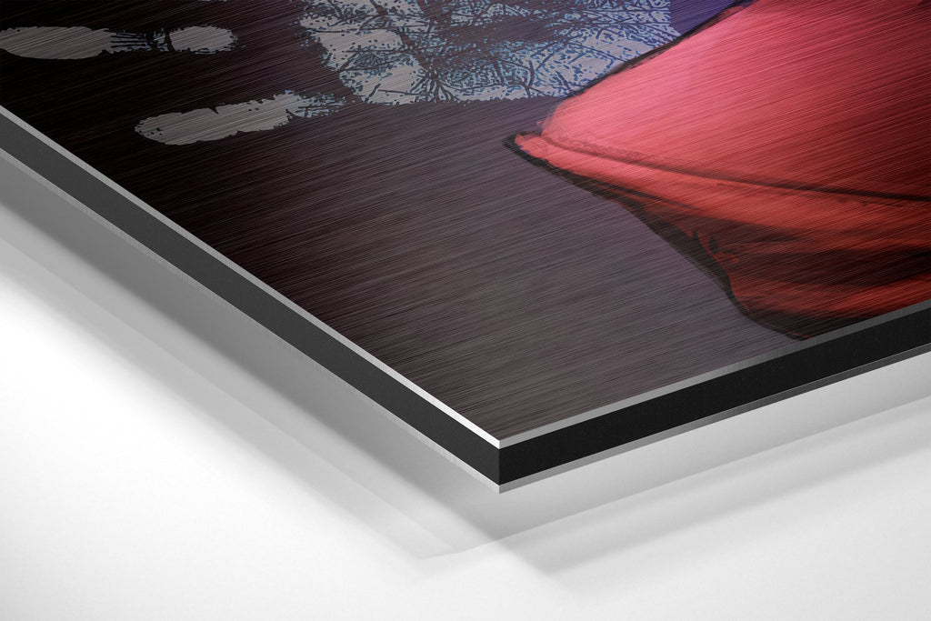 Brushed Aluminium Dibond Wall Art