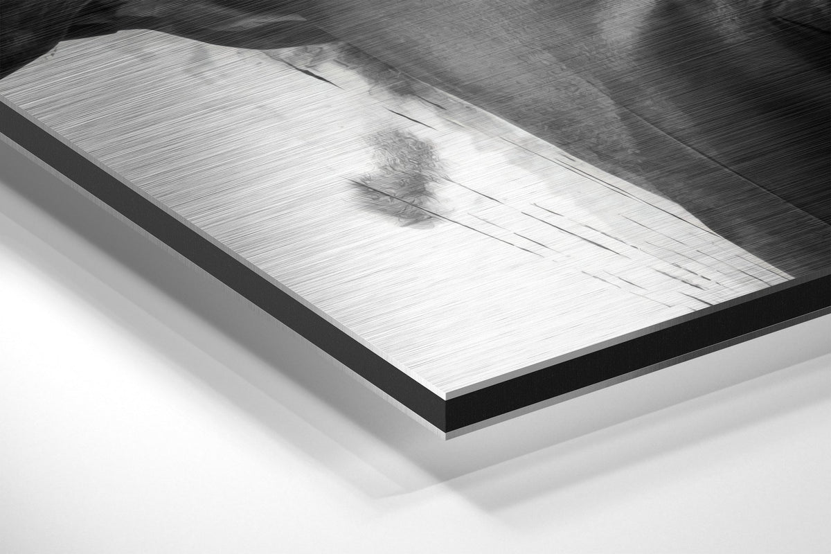 Brushed Aluminium Dibond Wall Art