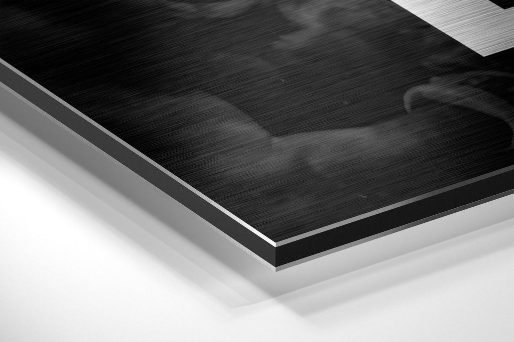 Brushed Aluminium Dibond Wall Art