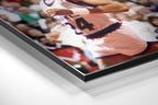 Brushed Aluminium Dibond Wall Art