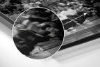 Brushed Aluminium Dibond Wall Art