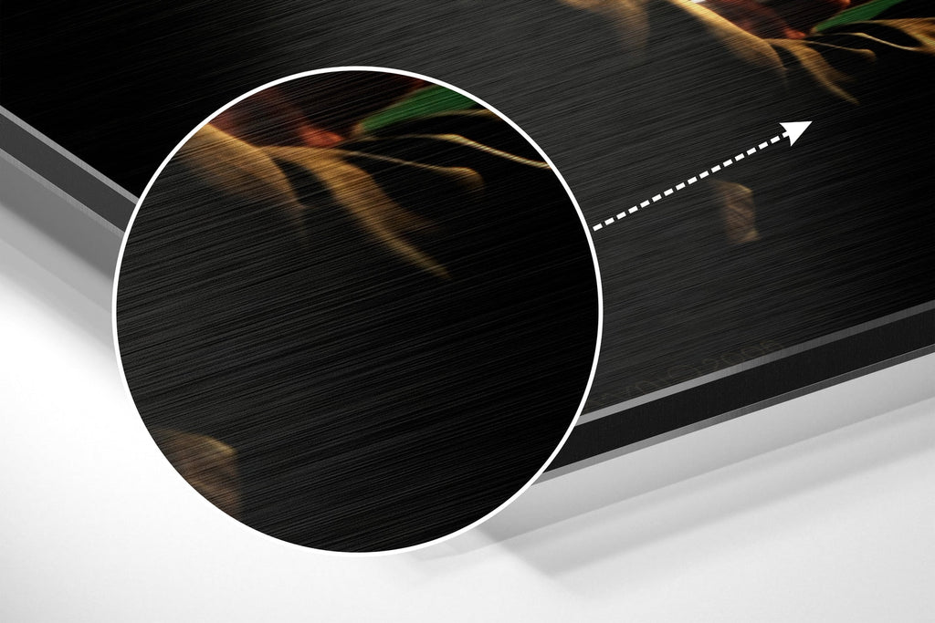 Brushed Aluminium Dibond Wall Art