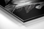 Brushed Aluminium Dibond Wall Art