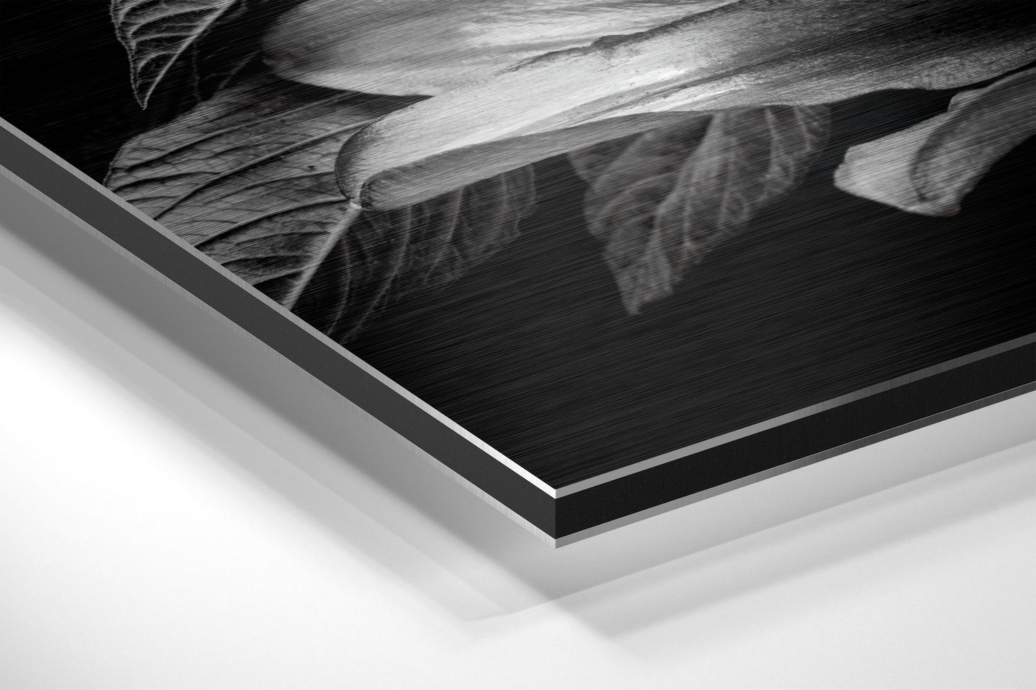 Brushed Aluminium Dibond Wall Art