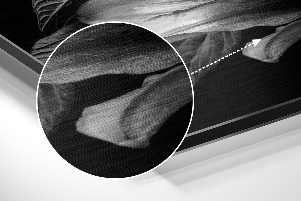 Brushed Aluminium Dibond Wall Art
