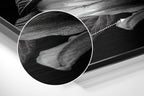 Brushed Aluminium Dibond Wall Art