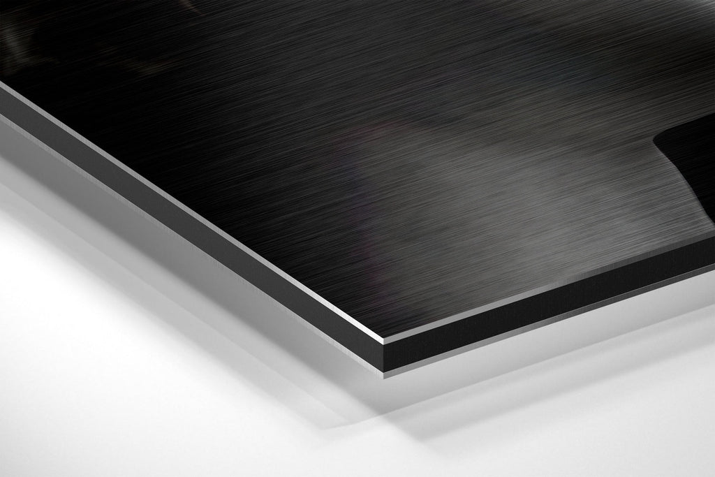 Brushed Aluminium Dibond Wall Art