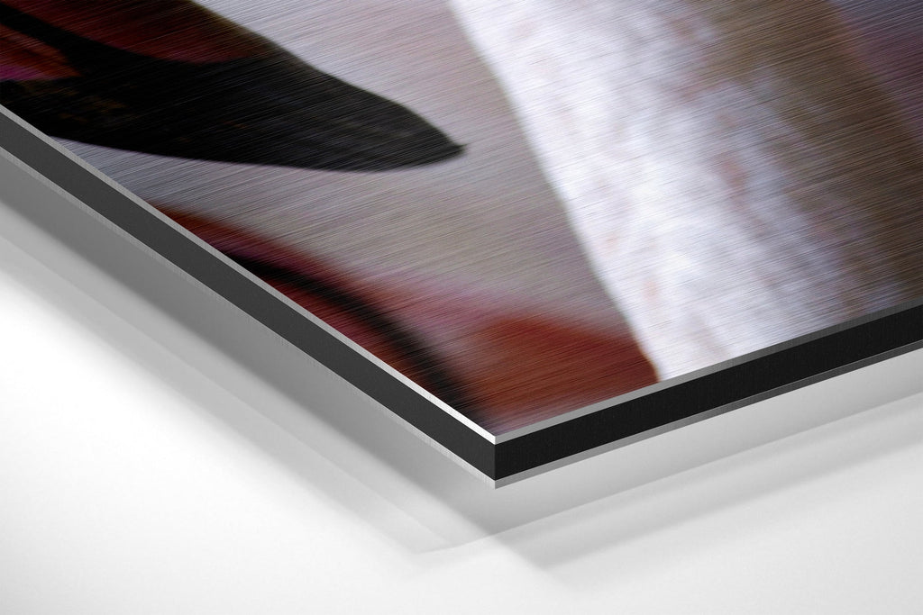 Brushed Aluminium Dibond Wall Art