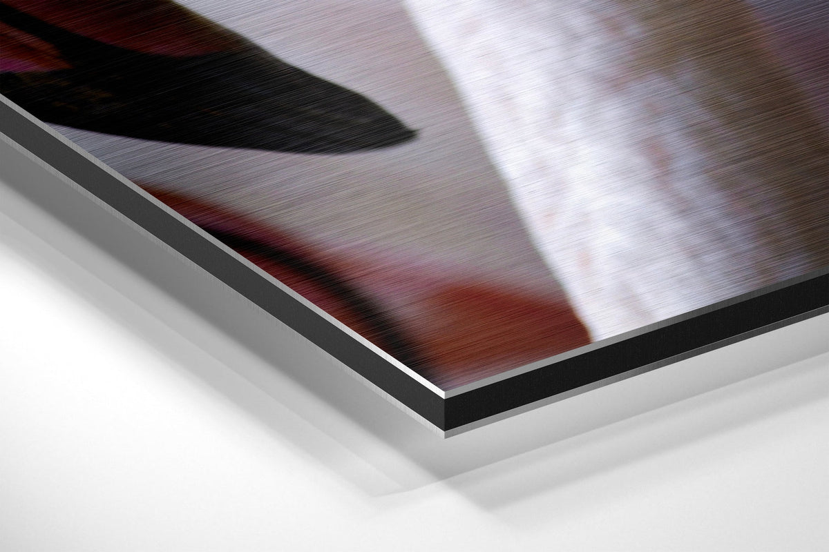 Brushed Aluminium Dibond Wall Art