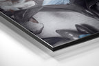Brushed Aluminium Dibond Wall Art