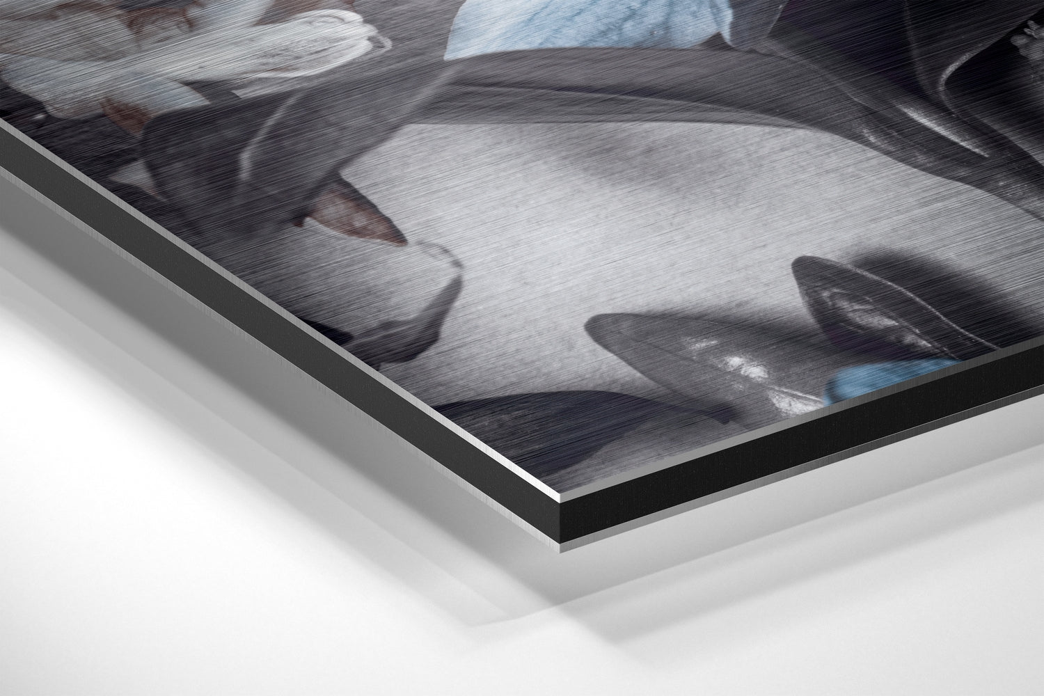 Brushed Aluminium Dibond Wall Art