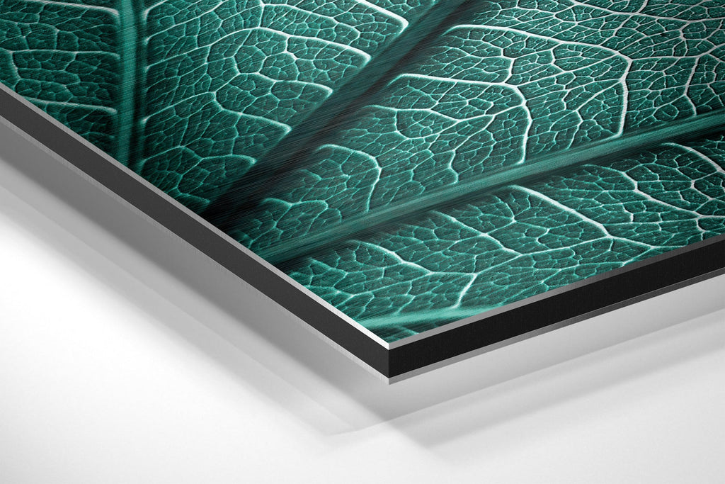 Brushed Aluminium Dibond Wall Art