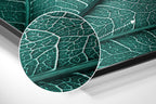 Brushed Aluminium Dibond Wall Art