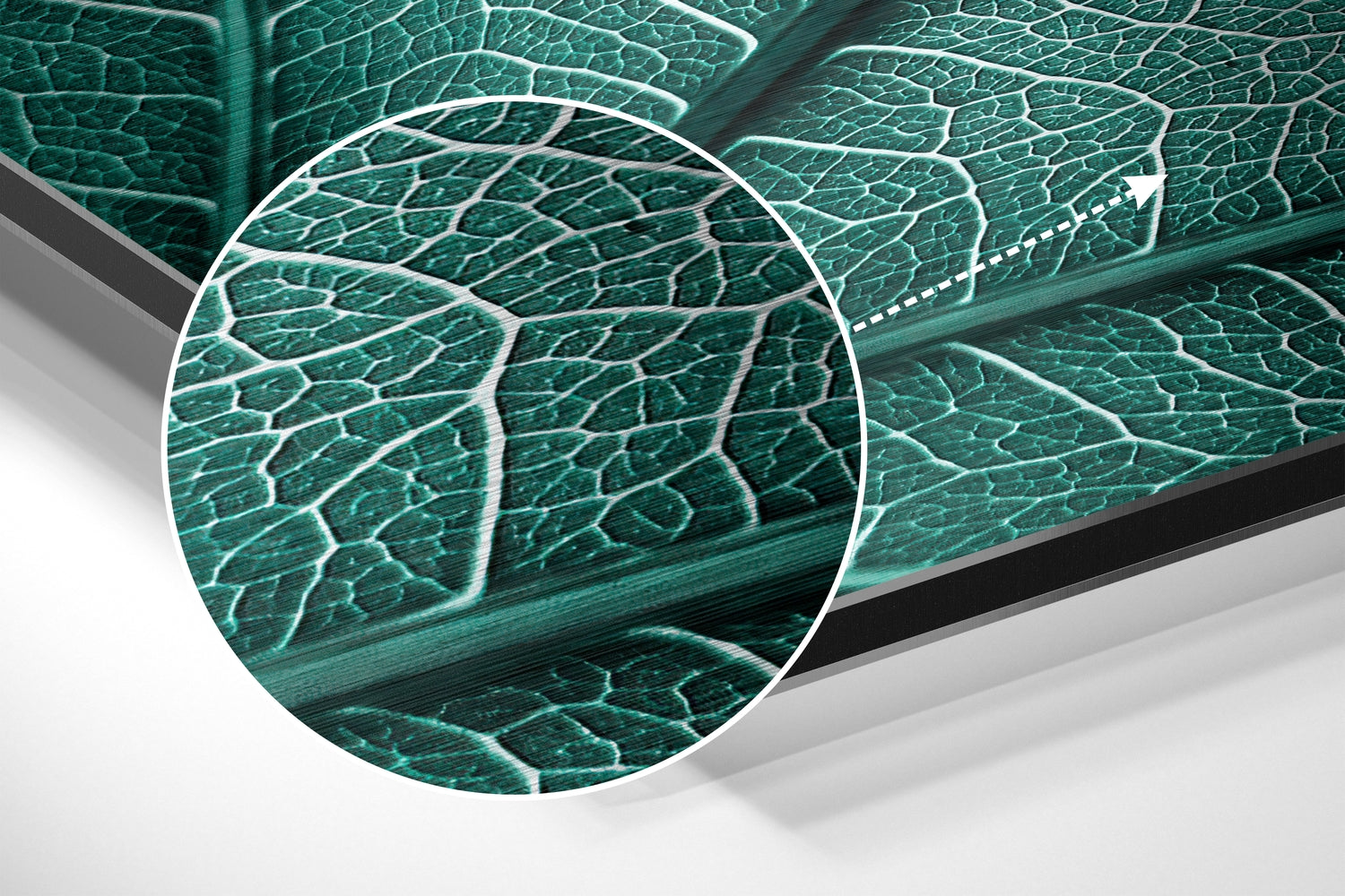 Brushed Aluminium Dibond Wall Art