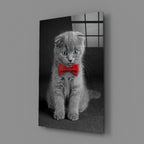 Cat Glass Wall Art
