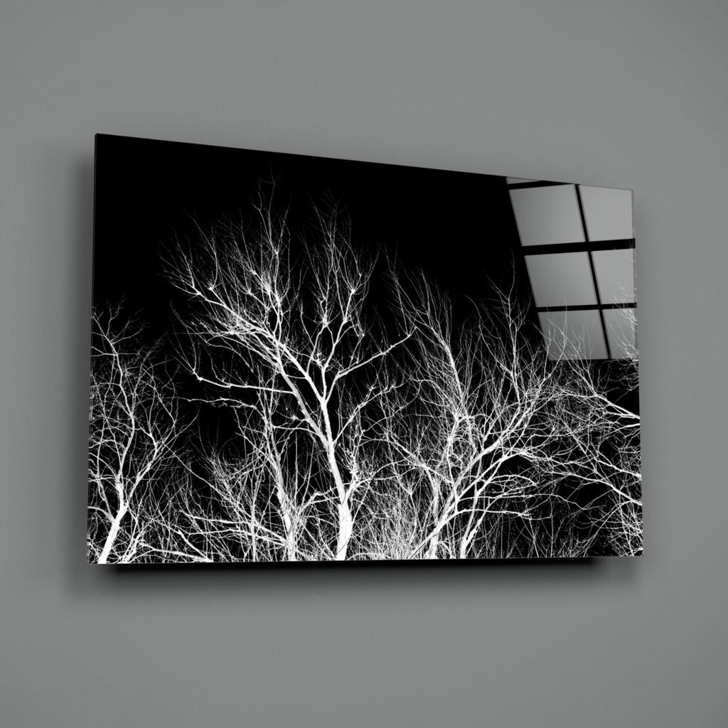 Night of the Tree Glass Wall Art