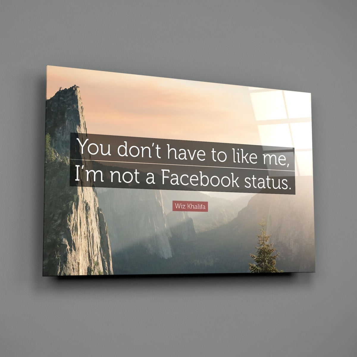 Not a Facebook Stat√ºs Glass Wall Art