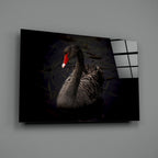 Black Swan Glass Wall Art