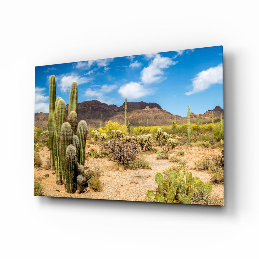 Glass Wall Art