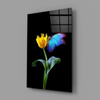 Glass Wall Art