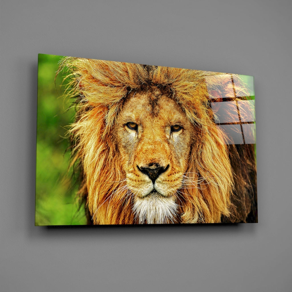 Glass Wall Art