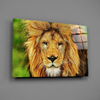 Glass Wall Art